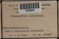 Image Associated With the Occurence
